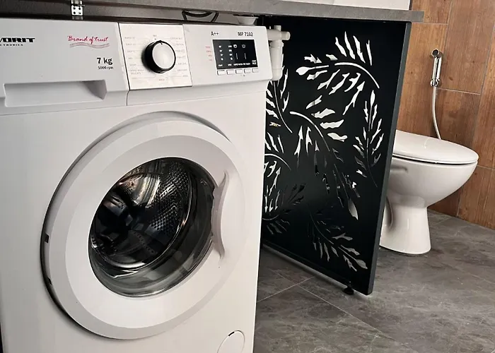 у максима Villa Petrovac na Mlavi