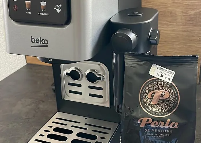 у максима Petrovac na Mlavi