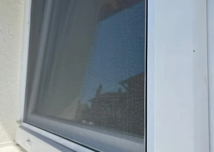 у максима Villa Petrovac na Mlavi