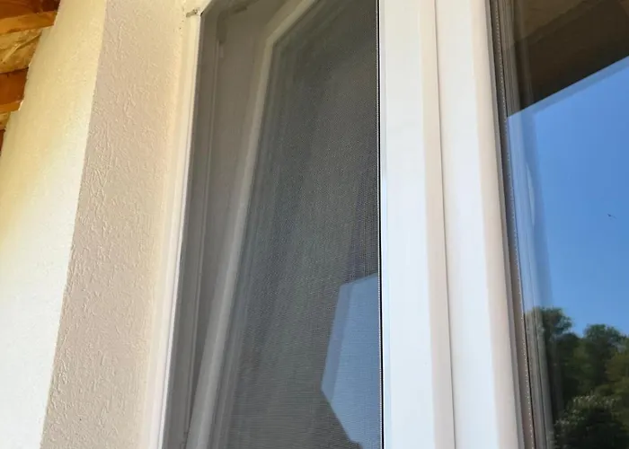 у максима Villa